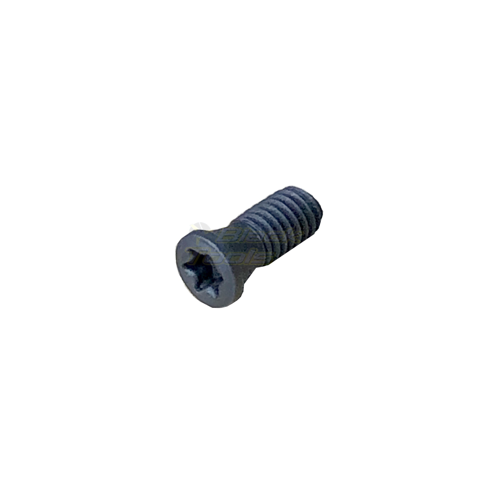 Parafuso Torx T7 M2,5x6,7mm 