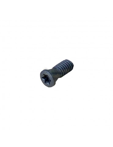 Parafuso Torx T8 M2,5x6,7mm 