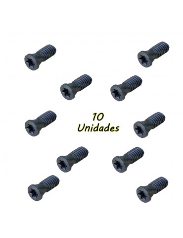 Kit 10 Parafusos Torx T7 M2,5x6,7mm 